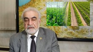 Повышение урожайности с помощью полива омагниченной водой