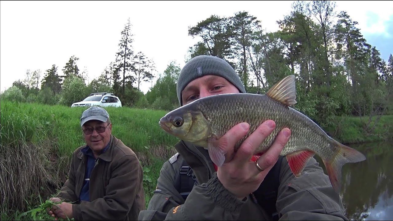 ТАКАЯ РЫБАЛКА МОЖЕТ БЫТЬ ТОЛЬКО В МАЕ! Рыбалка на Майского жука.Ловля Голавля и Язя на Майского ЖУКА смотреть онлайн