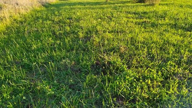 Грабли (ворошилка) для мотоблока МФ 70. смотреть онлайн