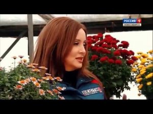 Хранение хризантемы зимой. Шубина Людмила Николаевна. Сад Шубиной.