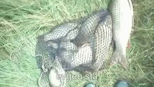 Суперснасть Научись рыбачить