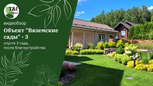 Вяземские сады 2024