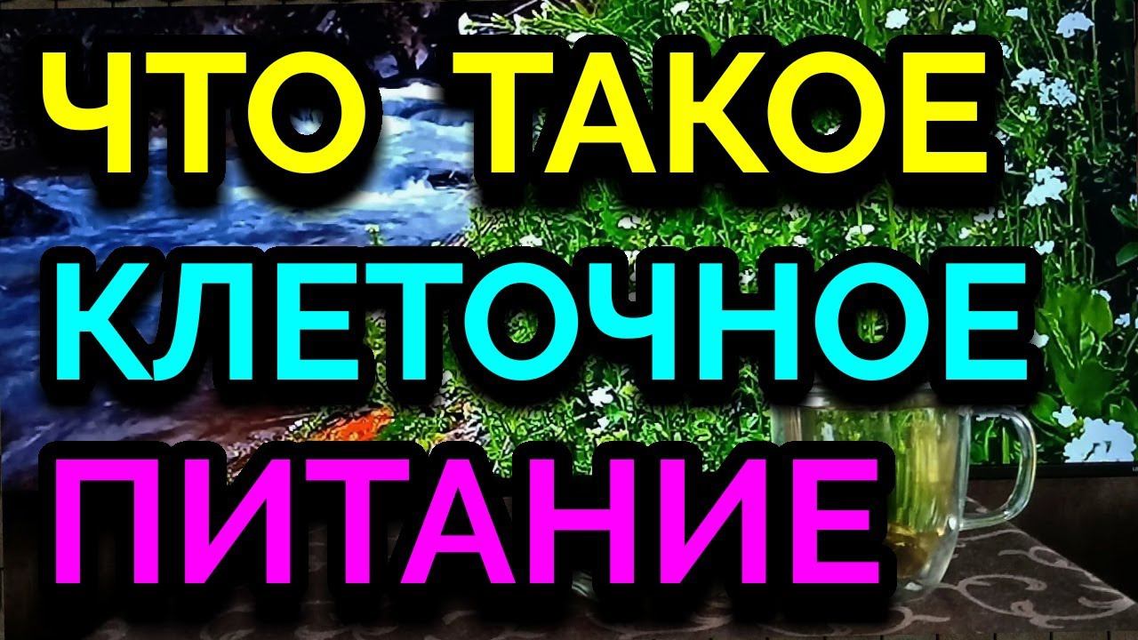 Что такое клеточное питание / Как я похудела на 94 кг и укрепила своё здоровье