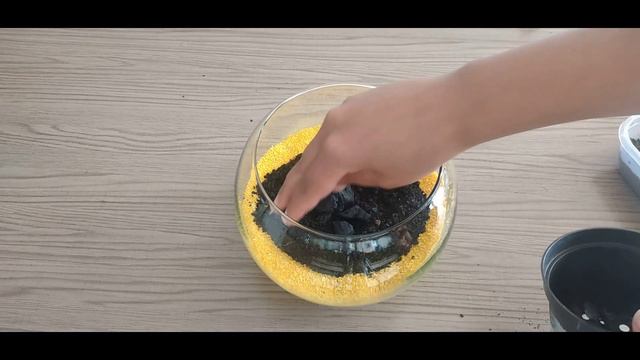 Como fazer um terrário - Lyna Plantas смотреть онлайн