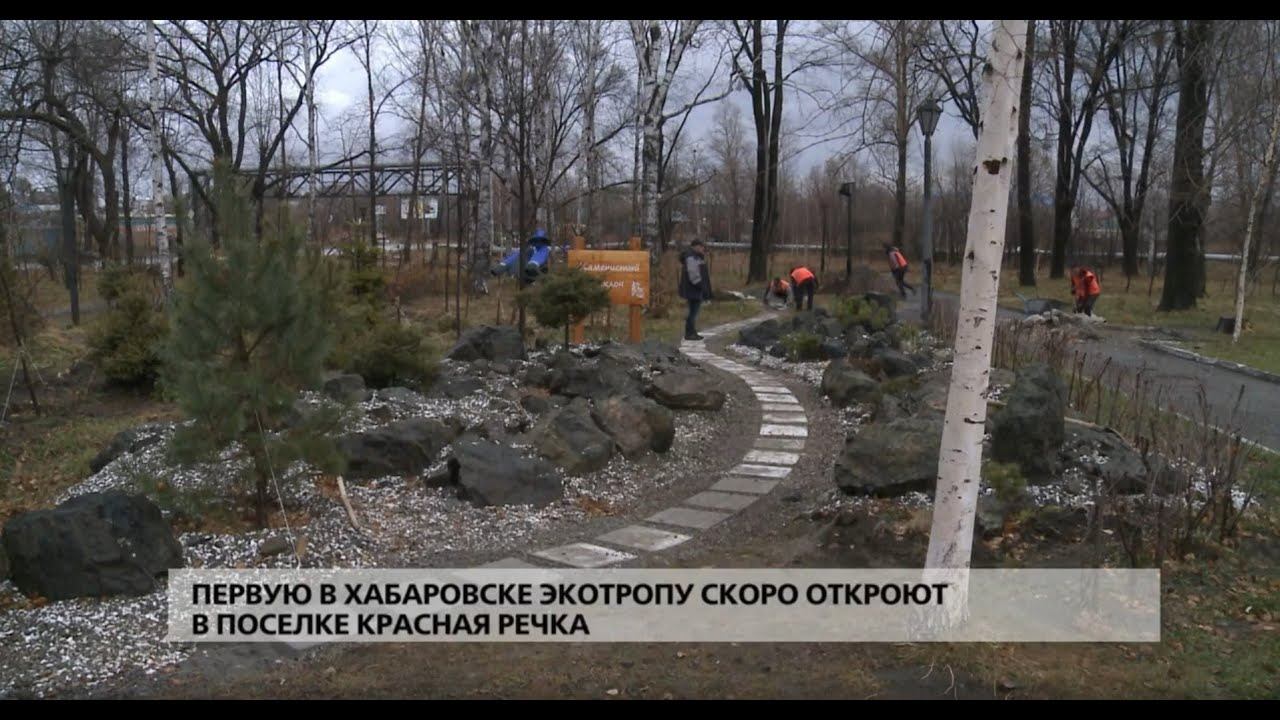Первую в Хабаровске экотропу откроют в поселке Красная речка