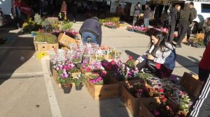 Поход на цветочный рынок (19 декабря 2021 г.)