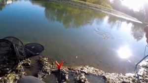 Рыбалка. Ловля карася осенью