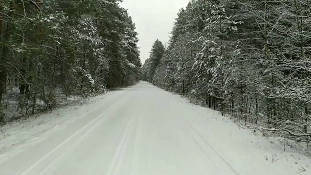 Санаторий Радуга ноябрь 2022 года# тишина#здоровье #умиротворение #лес и река Неман смотреть онлайн