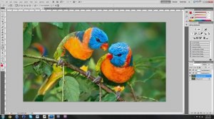 Photoshop CS5 Basics P2 | eValuatee©