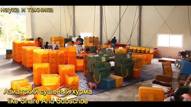 Азиатский сушеный хурма