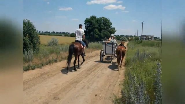 прогулка на лиман всей семьей? Легко! смотреть онлайн