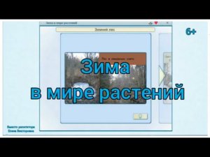 Зима в мире растений