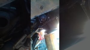 Простая замена ремня грм ауди, фольксваген, да любая.