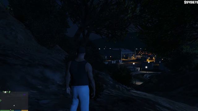 GTA 5 - Как играть за животных (Лофофор#26,27) смотреть онлайн