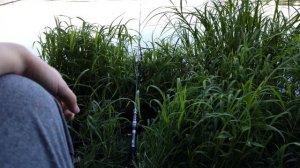 РЫБАЛКА НА ЛЕЩА 2021! КАК ПОЙМАТЬ ОГРОМНОГО ЛЕЩА НА ПОПЛАВОЧНУЮ УДОЧКУ? ЛОВЛЯ ЛЕЩА НА ОПАРЫША ЛЕТОМ