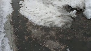 Плавим снег.