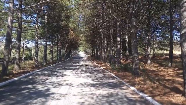 Путешествие в Крым. Коктебель. Что посетить?