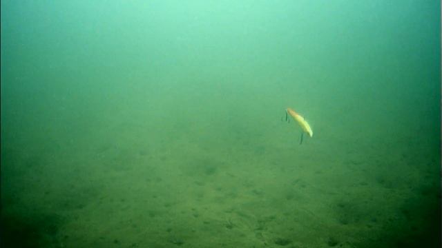 Озеро РАЗВИЛКА (28.01.23г.) Проход и поклевка на раттлин (105 реплика) смотреть онлайн