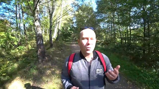 РАБОТА и ЗАРПЛАТА в ЧЕХИИ 2020 смотреть онлайн