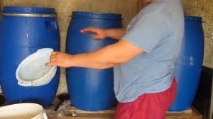 Яблочное вино и кальвадос.