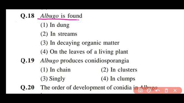 fungi mcq || plant kingdom mcq || most repeated questions (20) смотреть онлайн