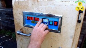 Первый пробный запуск инкубатора для вывода маток