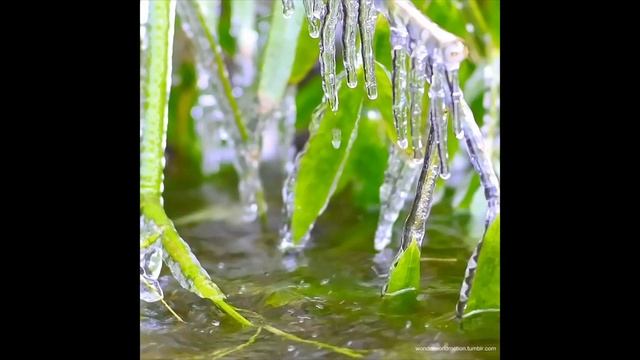 Стихи не кормят смотреть онлайн