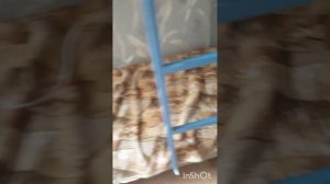 Я приехала в лагерь😃😄🤤☹😱