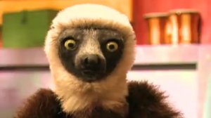 Zoboomafoo-102---Eye-Spy-(Full-Episode)