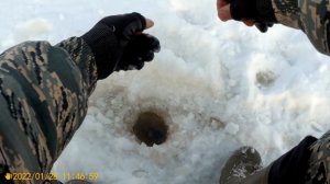 Бешеный клёв плотвы в глухозимье, рыбалка на безмотылку!!! река Ока,затон.