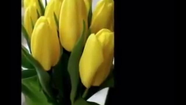 MFÖ- SARI LALELER. смотреть онлайн