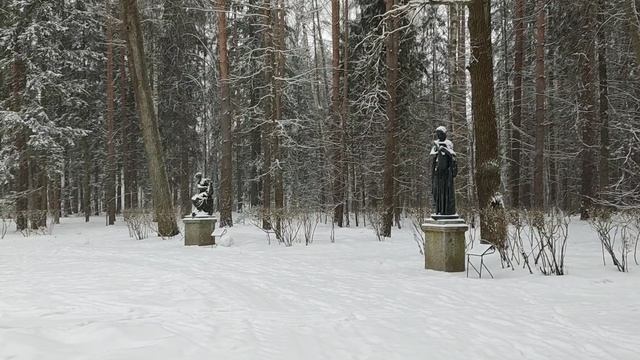 Прогулка по зимнему парку. Павловск