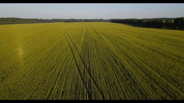 музыка для сна,успокаивающая музыка,сон за 10-15 мин / relaxation music смотреть онлайн