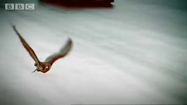 Lamborghini Murcielago review - Jeremy Clarkson - Top Gear - BBC  смотреть онлайн