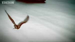 Lamborghini Murcielago review - Jeremy Clarkson - Top Gear - BBC