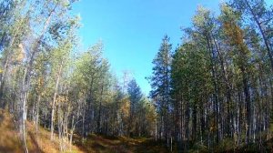 Каракат поездка на рыбалку