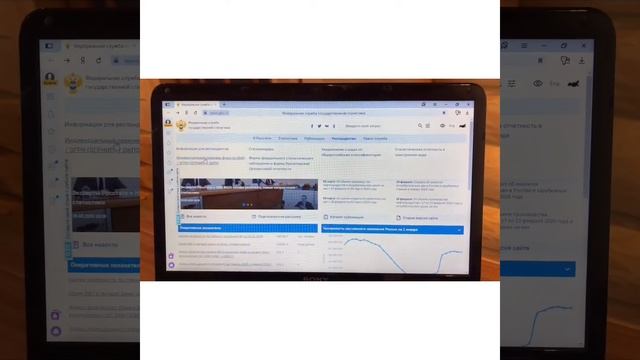 Отчетность в Росстат. Где найти? смотреть онлайн
