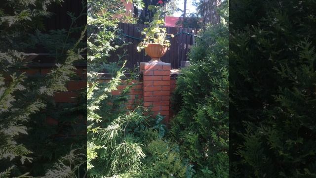 Мой сад  Садовый дизайн DIY #садсвоимируками #НиколайMisterwood #работаподереву