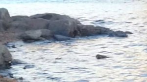 Гидроцикл с лодочным мотором ямаха 15