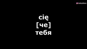 Урок 3 Польский язык по фильмам / Сериалы и фильмы на польском языке