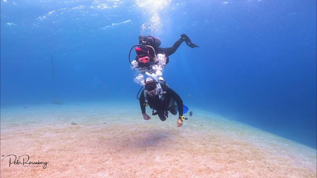 Open Water to A. Open Water course 20 02 22 смотреть онлайн