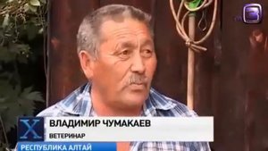 На Алтае обнаружено целое племя снежных людей.
