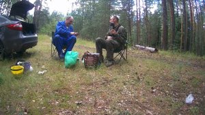 Черника очень много плодосборник помогает