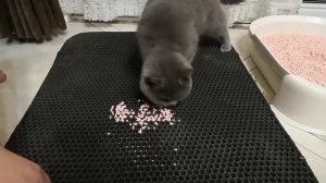 Коврик для кошек