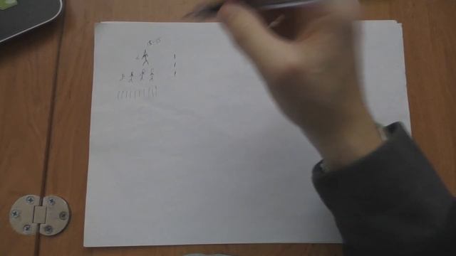 Происхождение человека. От плезеадапита до австралопитека