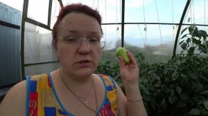 Как сохранить перец свежим до Нового года