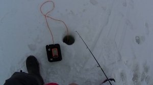Зимняя рыбалка на Судака на раттлин. Судак с эхолотом Практик.Зимняя удочка на судака Team Dubna.