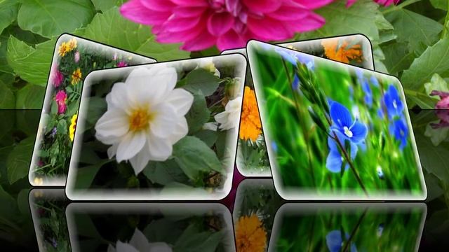 Цветочная фантазия-Проект для Proshow Producer смотреть онлайн