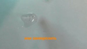 Как получить яйца дафнии для размножения