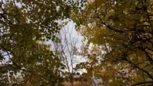 Эта осень была исключением Автор и исполнитель Елена Казанцева